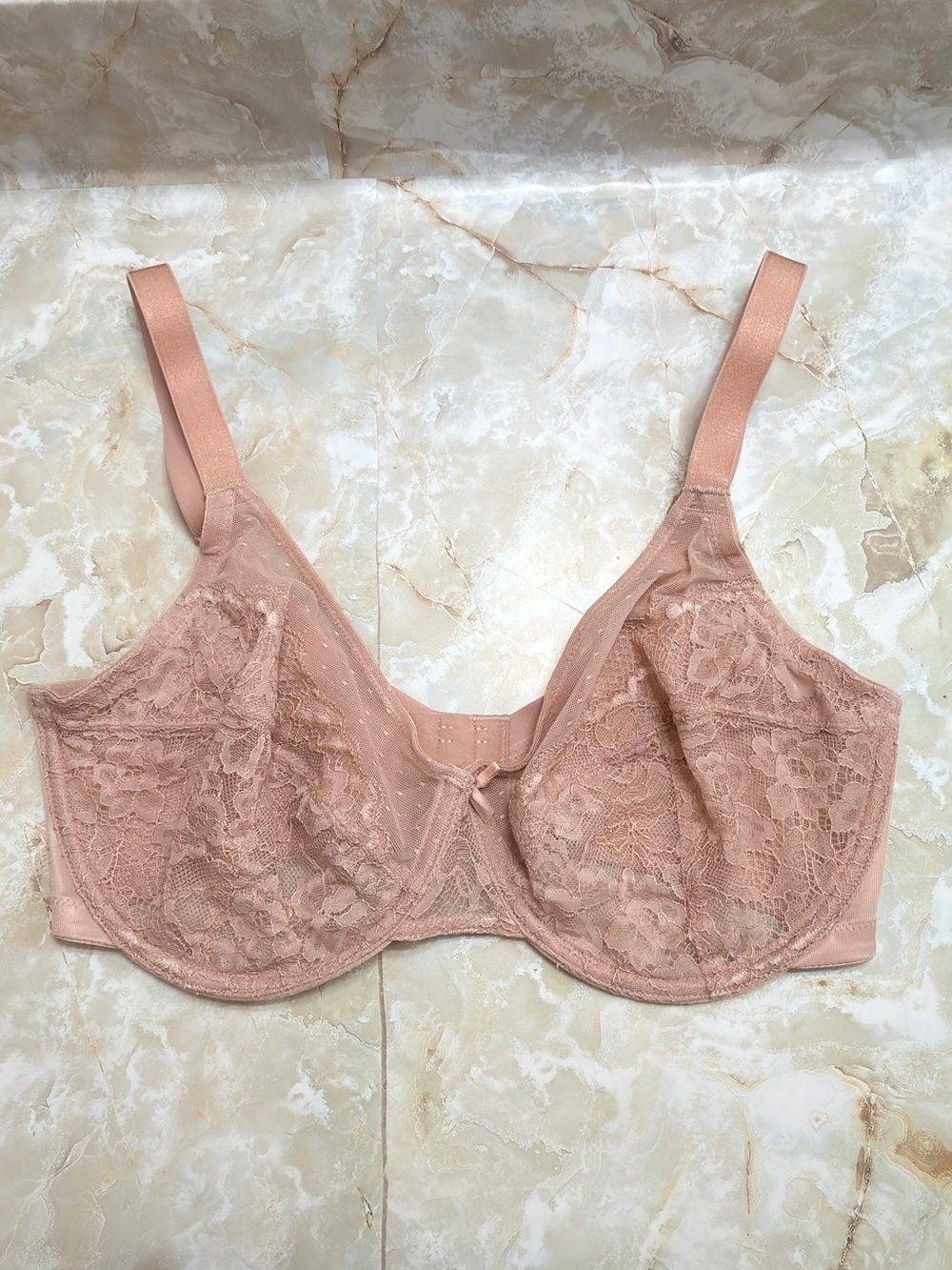 Sheer Lace Underwire Bra in Dusty Rose